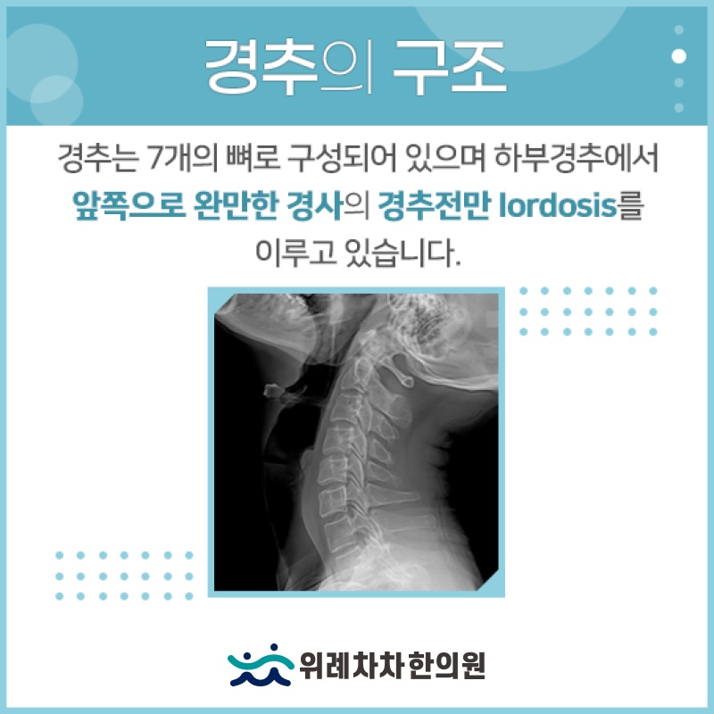 두통과 어지럼, 거북목증후군과의 연관성