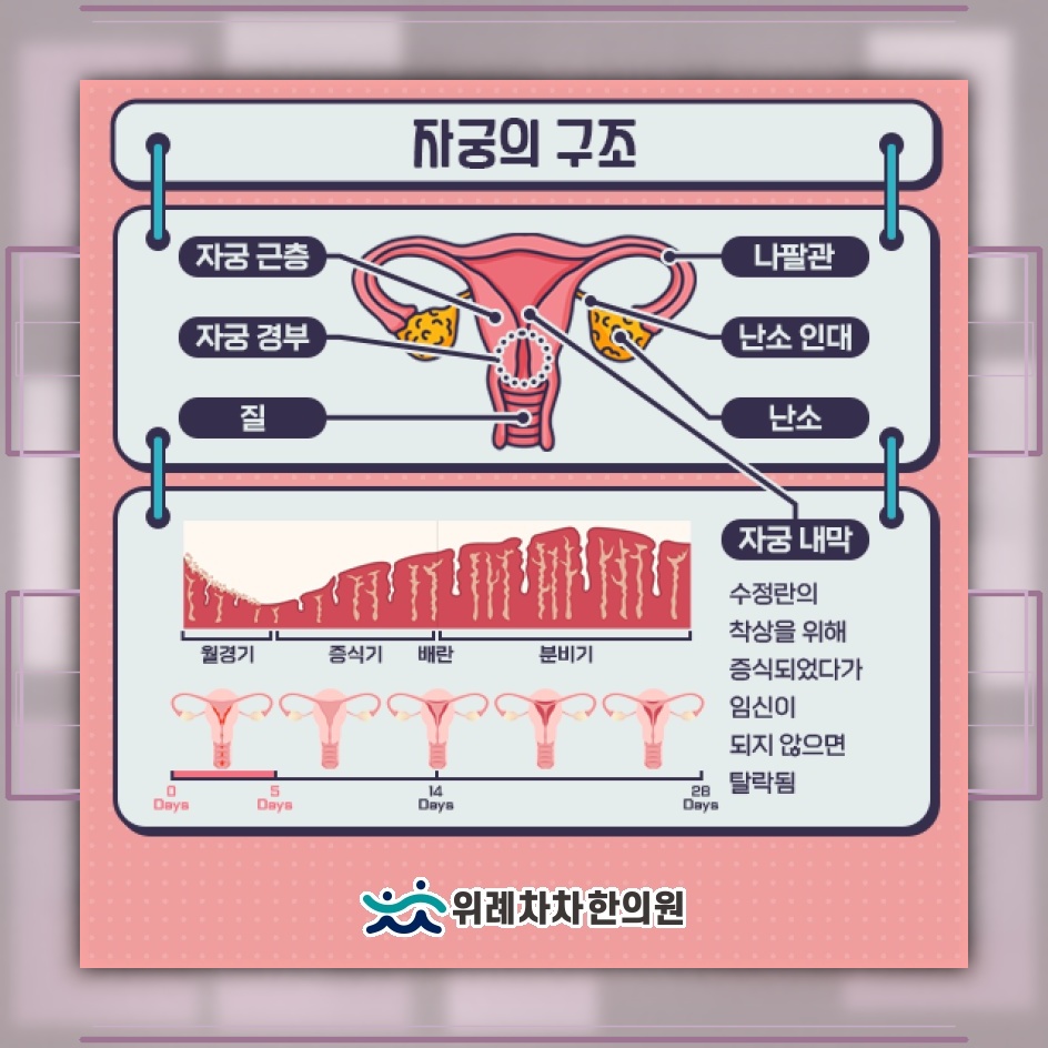 일상에 영향을 주는 생리통의 원인과 대응 살펴보기