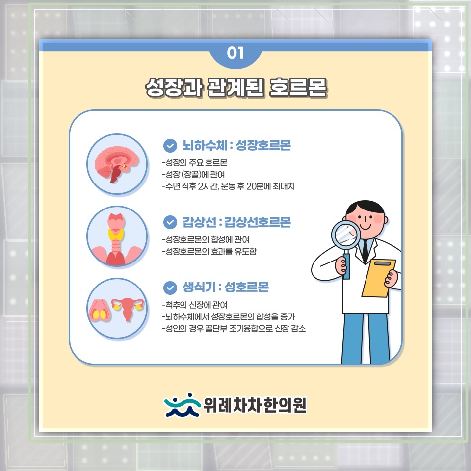 성장기 키 발달에 영향을 주는 생활 관리와 점검 요소