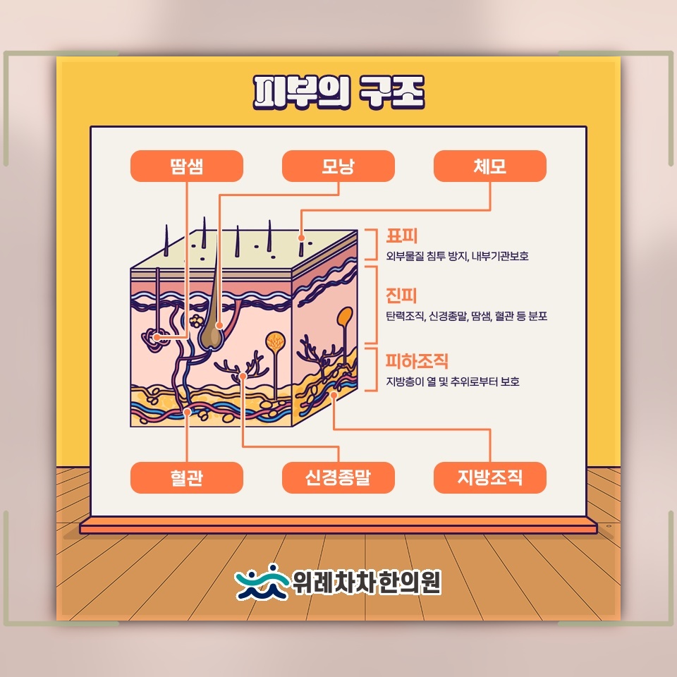 두드러기 발생에 관여하는 면역 균형의 중요성